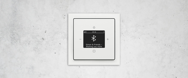 Busch-Radio Btconnect bei Elektro-Datz GmbH & Co. KG in Neu-Anspach
