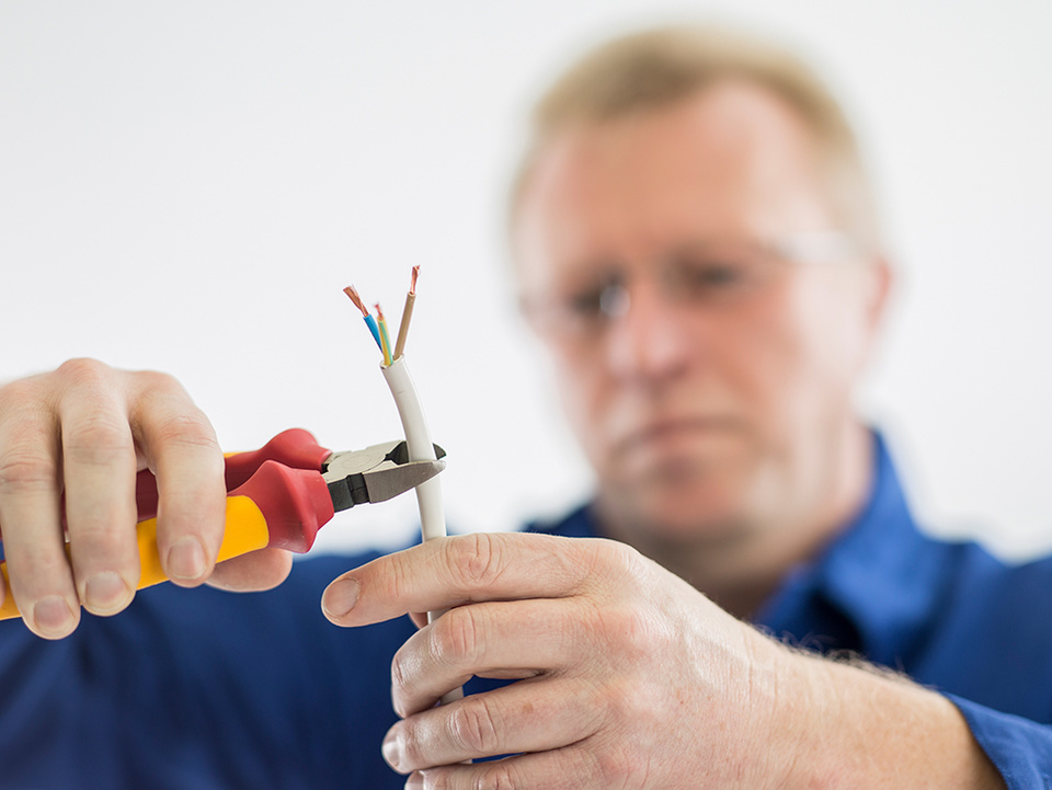 C F021729 bei Elektro-Datz GmbH & Co. KG in Neu-Anspach